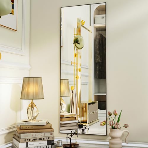 Full Length Floor Mirror, 21 x 57, Aluminum Alloy Frame - Black - Bedroom and Living Room