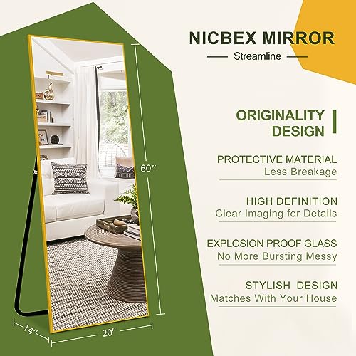 60 x 20 Full Length Mirror for Bedroom/Living Room/Dorm Room - Gold