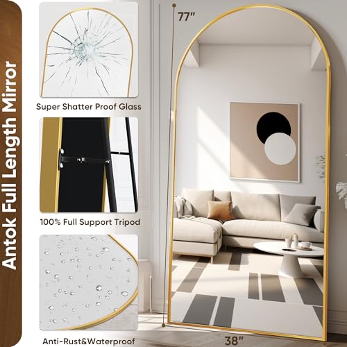Gold Full-Body Standing Mirror for Living and Bedroom