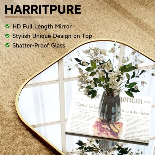 Full Length Mirror for Living Room or Bedroom: 71x26 Gold Frame